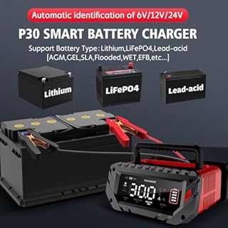 YHCHKJ 30 Amp 6V/12V/24V Smart Trickle Charger, Car Battery Charger, Lithium, Lifepo4, Lead Acid (AGM/Gel/SLA) Battery Maintainer, Desulfurizer, for: Car, Boat, Motorcycle, Lawn Mowers