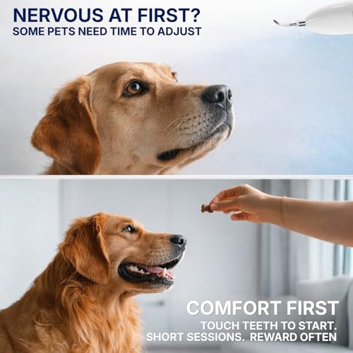 Image of SIRGAWAIN Pet Ultrasonic Dental Cleaner - Plaque, Tartar & Stains Remover, 4 Tips, 3 Modes, LED, Contact-Activated & Smart Touch Protection, Complete Cleaning Kit for Dogs & Cats