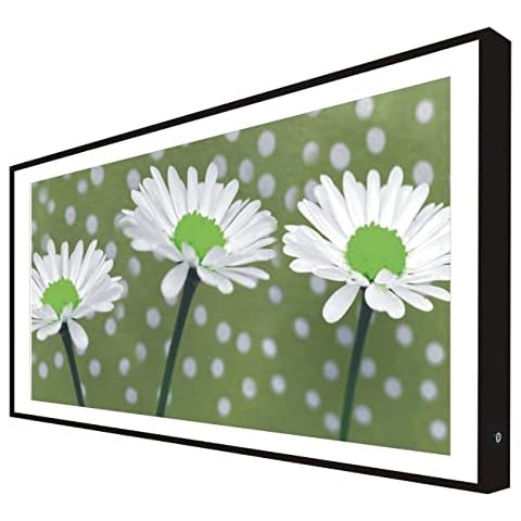 Picture with Black Lacquered Wood Frame Illuminated with Light White Flowers Leds Cover