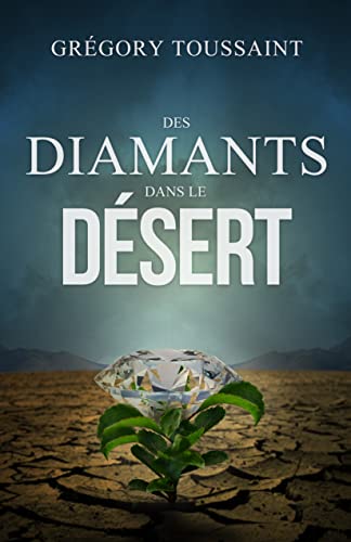 Des Diamants dans le Désert (French Edition)