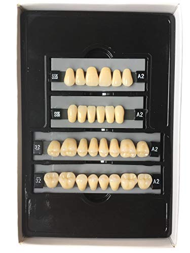 SDent® 2 Boxes 2 Layers NADO ENDURA Synthetic Teeth Multi-Layer Acrylic Composite False Teeth Super Hard Denture Polymer Polymerial Materials & Full Set & A3 & 1 SET
