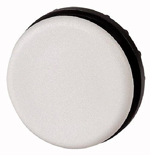 Preisvergleich Produktbild Eaton 216388 Blindverschluss, grau