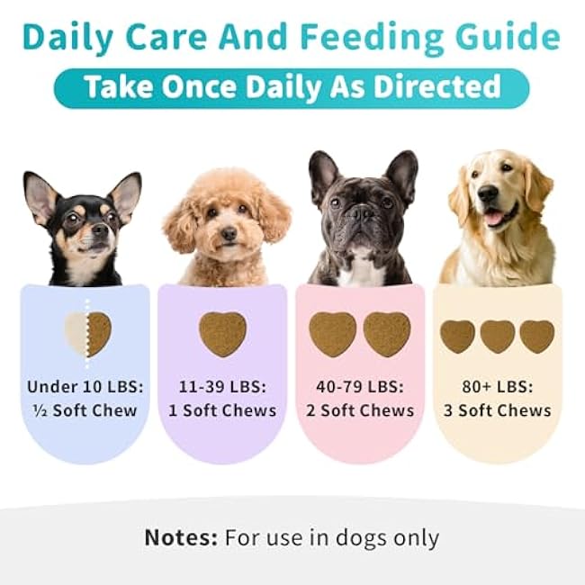 Dog Skin & Allergy Chews - Dog Probiotics for Sensitive Skin Health Support - Allergy Relief - Support Seasonal Allergies, Immune & Gut & Digestive Health Supplement - Chicken Flavor - 90 Count-qNdjbTi8