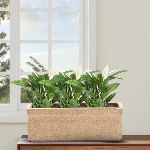 Image of BonKaso 21 inch Beige Pot - Tall, Durable & Lightweight Polymer Rectangle Planter for Indoor & Outdoor Use: Home, Office, Garden & Balcony (Gamla /Gamale)