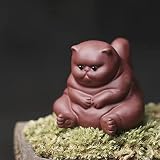 EAEDMY Purple Sand Cat