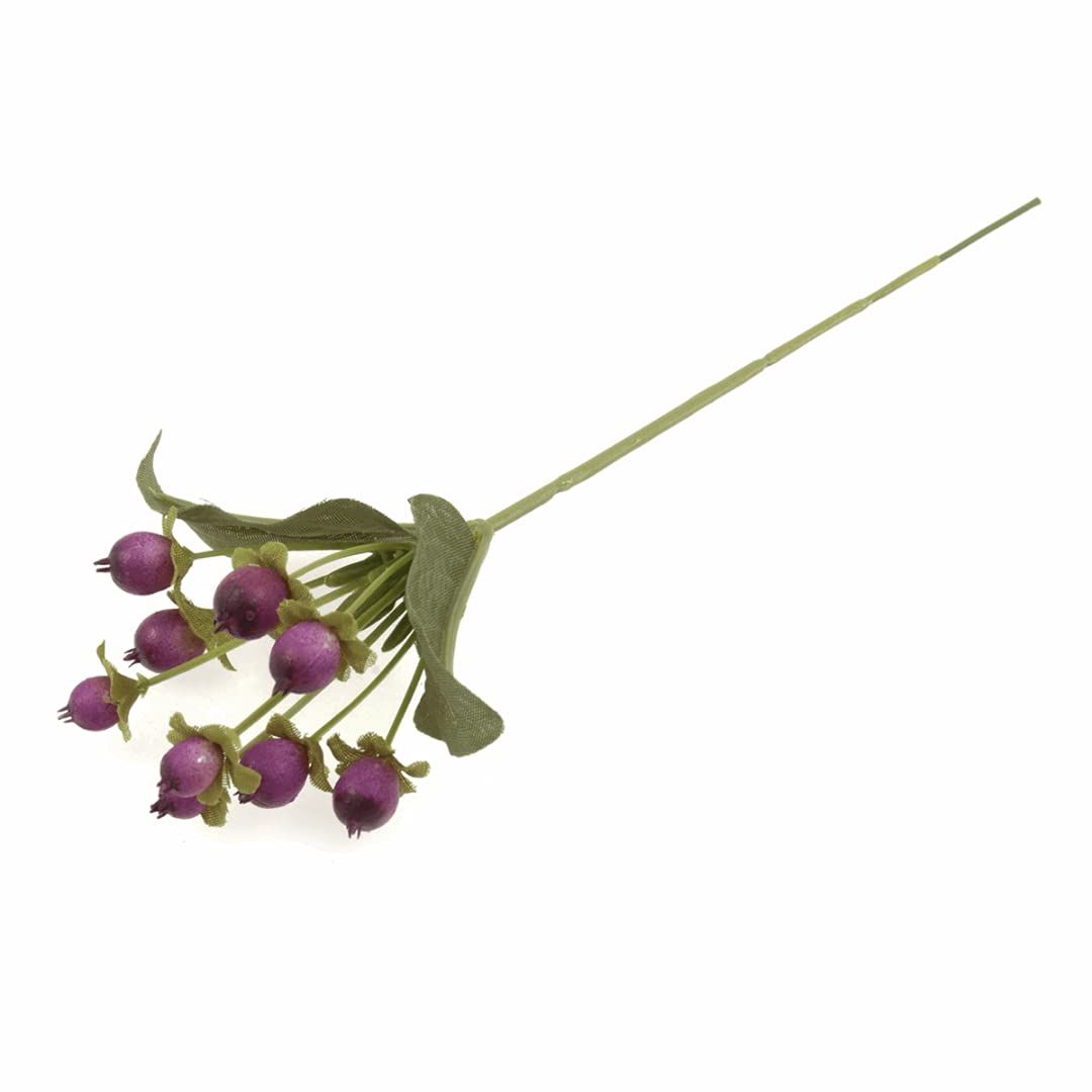 Occasions - Hypericum Berries