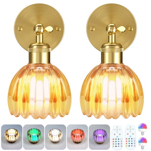 Senluyi Battery Operated Wall Sconce, Rechargeable 3500mAh Battery, Dimmable LED