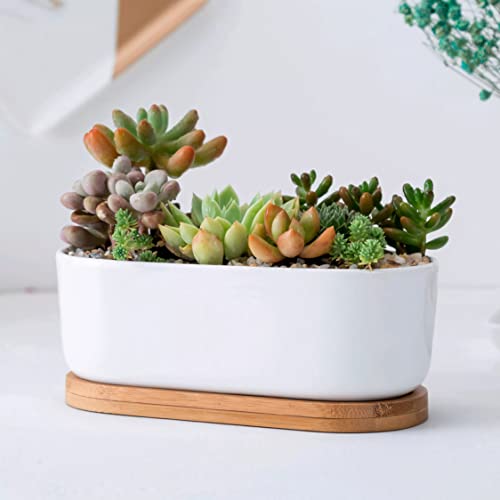 Everyday Better Life Cute Oval Shaped Modern Home Garden Decoration Succulent Cactus Ceramic Flower Pots With Bamboo Tray thumb #2