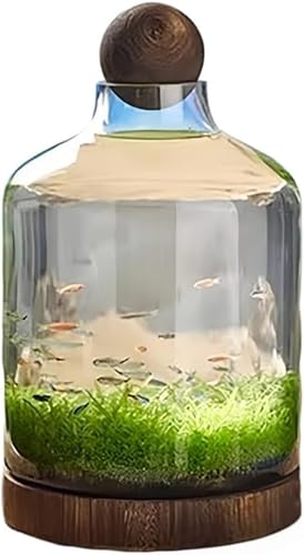 金魚鉢 水槽ボトル 風木製トレイ 厚手エコボトル ランドスケープ魚鉢 水耕栽培 マイクロランドスケープ 多用途植木鉢 透明木製ベース付き (32*27cm)