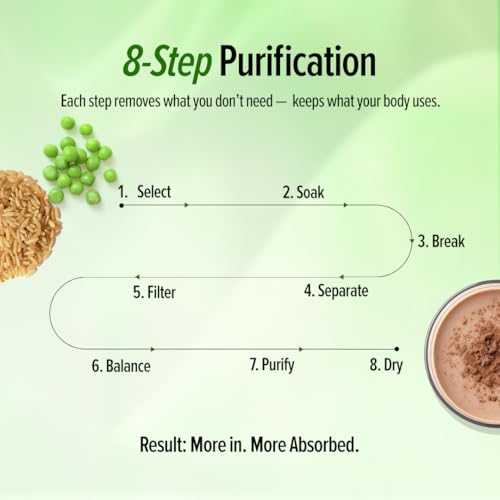 Image of GNC Plant Protein Isolate Powder | 25g Protein Complete Amino Acid Profile with PDCAAS 1 Score | DigeZyme For Faster Absorption | No Added Sugar | Delicious & Non-Chalky | Chocolate (2lbs)