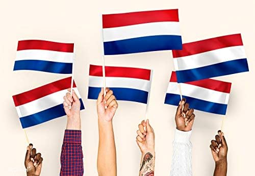 Netherlands Holland Hand Flag 25cm
