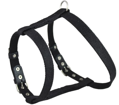 Harnais chien poitrine 55-66 cm compatible sangle de coffre auto