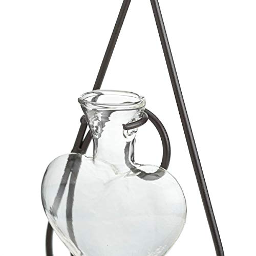 Tj Global Cat Glass With Heart Vase Planter, Plant Terrarium, Holder, Propagation Station, Metal Stand For Hydroponics Plants Home Garden Wedding Decoration Outdoor Planter Ideas Modern Creative #TOP4