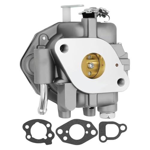 Carburateur pour BS 809008 S 808249 807936 807832 de tondeuse