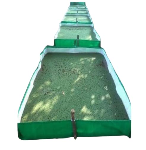 Hdpe Azolla Bed for Azolla Cultivation and Fish Farming Or Water Tank ...