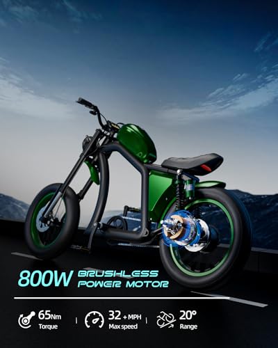 BIGNIU Bicicleta elétrica para adultos, motor sem escova de 800 W, 48 V / 22,5 Ah, bicicleta elétric