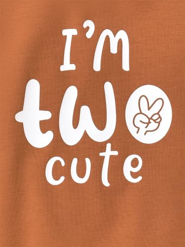 Toddler Boy Birthday Outfit Two/Three/Four/Five/Six Sweatshirt Shirts Birthday Gift3