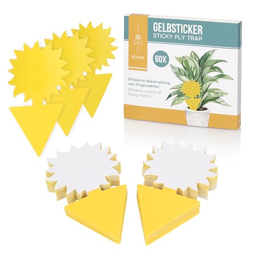 Preisvergleich Produktbild Rovar Gelbsticker Fliegenfalle 60 Stück- Effektive Bekämpfung von Trauermücken an Zimmerpflanzen - Extra Große Fangfläche (060 Stück)