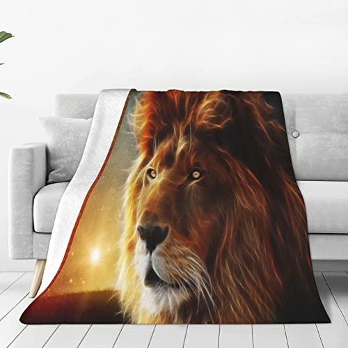 Couverture chaude micro polaire ultra douce pour lit chambre salon - 2
