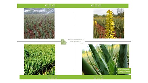 Aloe Vera Gel 100% organico e vegano 250ml, per