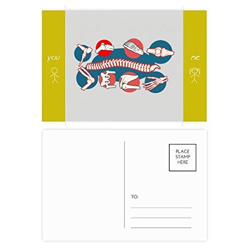 Cartes postales vertébraux DIYthinker, le lot de 20 illustrations à offrir à un étudiant en médecine