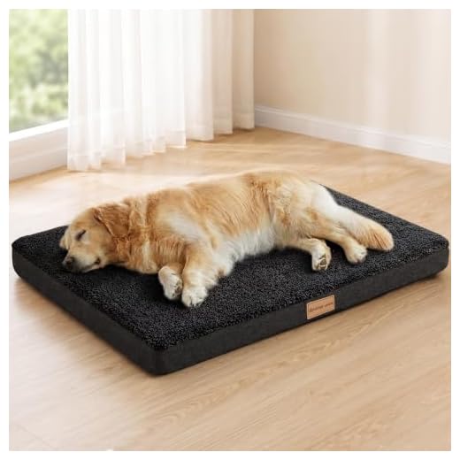Patas Lague Orthopedic Large Dog Bed Washable Pet Sofa Mat 36''X24'' Black