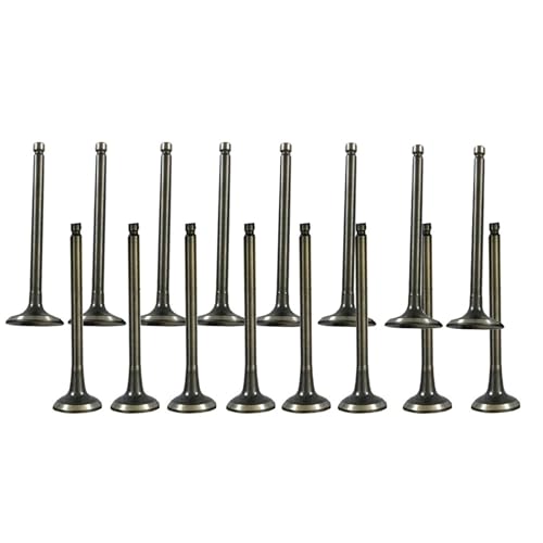 Intake & Air-out Valve Replacement for Hyundai Accent Kia Rio Rio5 1.6L L4 16V 10813 13047