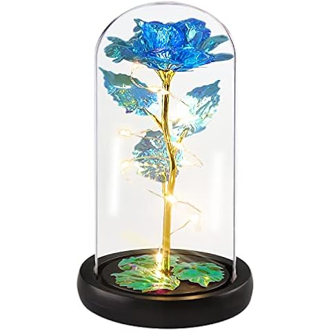 Alagoo Konservierte Rosenblume, Geburtstagsgeschenke für Frauen Cover