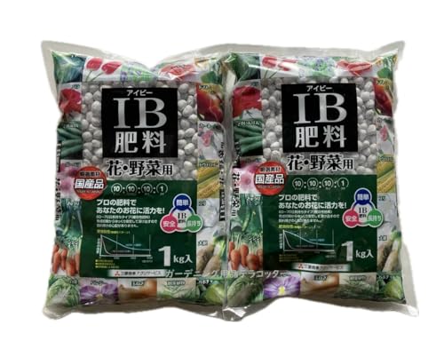 QZbg Y ha엿 P × Q ivQj Ɍ엿