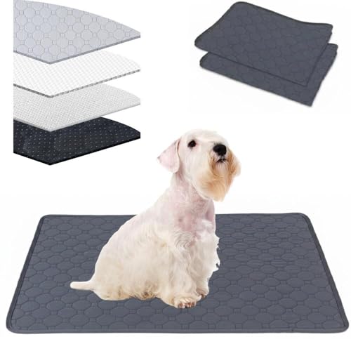 Lifetips V[neAiSealyham Terrierj 􂦂ybgV[c ybgV[c 􂦂 2Zbg ~ V[cCh V[g L ۂƐ􂦂 ~}bg ld\ Rh~  ~ ^ ^  