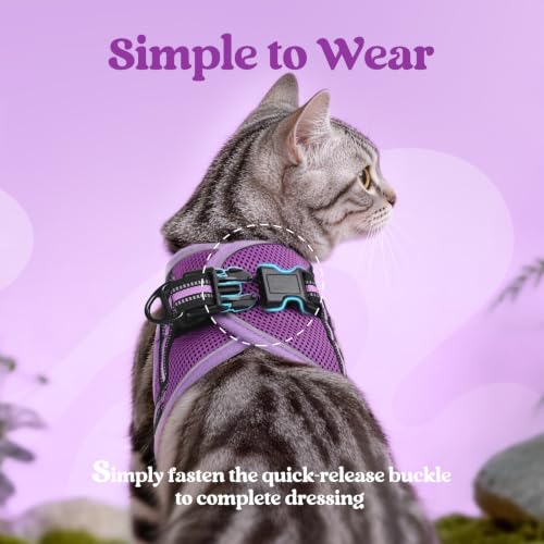 Image of rabbitgoo Cat Harness and Leash Set, Step-in Soft Vest, Purple-Light Purple