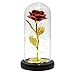 Die Schöne Und das Biest Rose in Glaskuppel mit LED-Lichter, Eternal Enchanted Forever Rose Auf Holzsockel, Romantisches Geschenk für Frauen Valentinstag, Mutter, Jahrestag Geburtstag Hochzeitstag