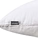 Thmyo 4-Pack 100% Cotton Lumbar Comfortable Solid Decorative Throw Pillow Case Rectangle Cushion Cover DIY Throw Pillowcase for Sofa Bed(Only Covers,Not Pillow Shams)(12x20inch/30x50cm,White)