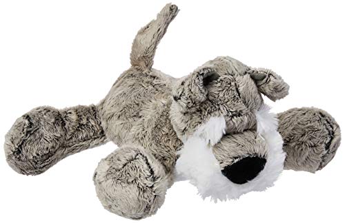 Cachorro, Foffylandia, Cinza