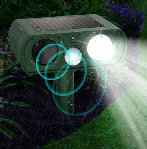 How to help a stray cat in the winter