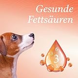 Martenbrown® 5 Liter Norwegisches Premium Lachsöl für Hunde, Pferde und Katzen | Fischöl im Kanister | für Trockenfutter, Dosenfutter oder als Barf-Öl