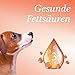 Martenbrown® 5 Liter Norwegisches Premium Lachsöl für Hunde, Pferde und Katzen | Fischöl im Kanister | für Trockenfutter, Dosenfutter oder als Barf-Öl