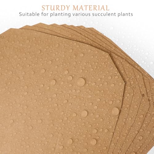 Mini macetas con agujeros de drenaje pack de 12 y bolsas kraft para recuerdos vivos 4