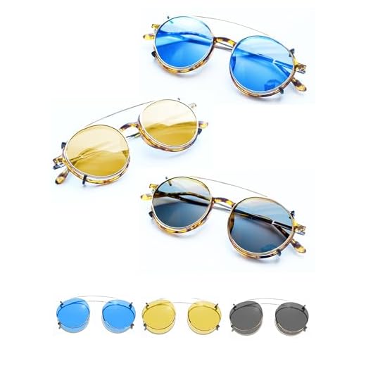 Clippies Stylish Clip-On Sunglasses