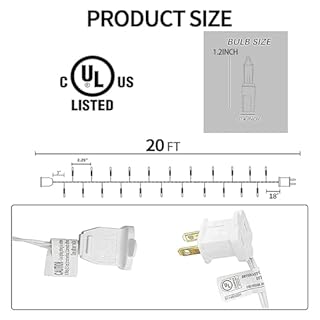 TW SHINE Christmas String Lights, 20FT 100 Count Incandescent White Wire Christmas Mini Lights, Waterproof Xmas String Lights for Outdoor Indoor Home Party Yard Decorations, Multi-Colored