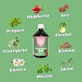 Darmkräuter Saft für Hunde 500ml – 100% natürliche Kräutermischung aus Anis, Fenchel, Kamille & mehr – Beruhigt Magen-Darm-Probleme wie Blähungen und Bauchweh – Für eine gesunde Verdauung