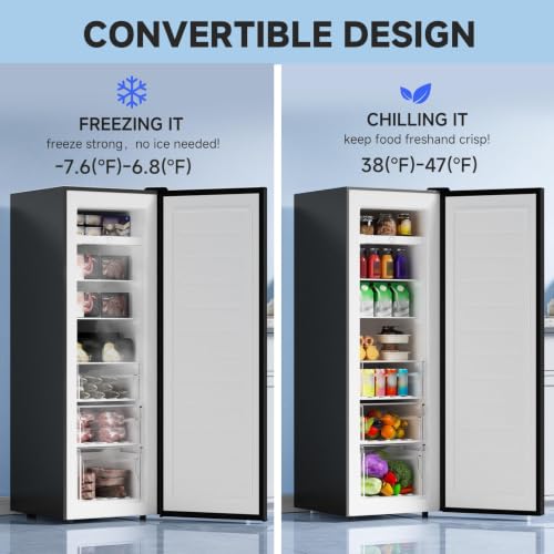 BANGSON 7.0 Cu.ft Freezer Silver