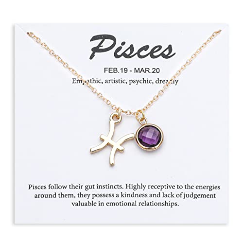TGOLM 14k Gold Plated Pisces Sign February Birthstone Created-amethyst Crystal Necklace for Women Birthday Gift