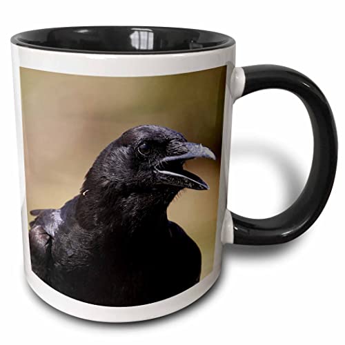 American Crow Mug in Two-Tone Black and White