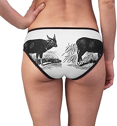 Anoa Vintage Panties, Anoa Vintage Underwear, Briefs, Cotton Briefs, Funny Underwear, Panties For Women