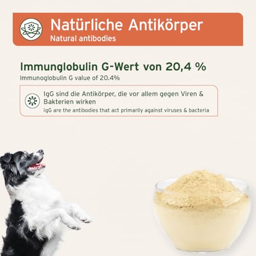 AniForte Premium Colostrum für Hunde & Katzen 100g Pulver - Natürliche Erstmilch, Kolostrum unterstützt Abwehrkräfte & Magen-Darm-Trakt, Immunglobulin G in Lebensmittelqualität