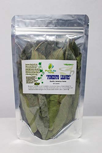 Pack of 40 Jamaican Pimento Leaves Pack of 40 Jamaican Pimento Leaves
