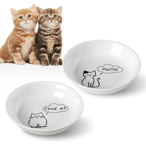 HAPPY KIT 2pcs Little Cat Bowls,5Inch Cat Food Bowl for Indoor Cats,Cute Kittens Plate/Dish/Dishes Set with Non-Slip Relief of Whisker Fatigue for Kitten - Microwave and Dishwasher Safe Cover