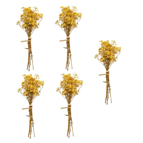 5 unidades ramilletes naturales secos de flor Gypsophila