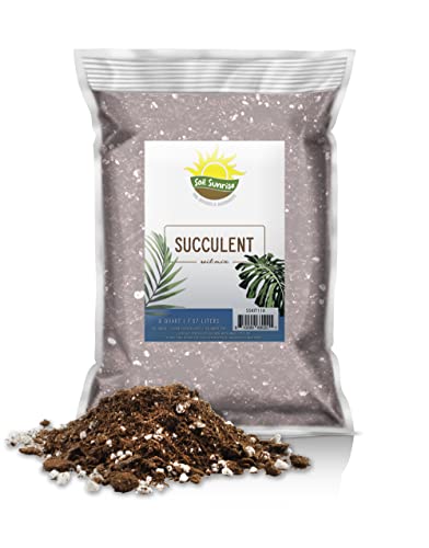 Succulent Potting Soil Mix (8 Quarts), Hand Blended Fast Draining Soil Potting Mix for Succulents